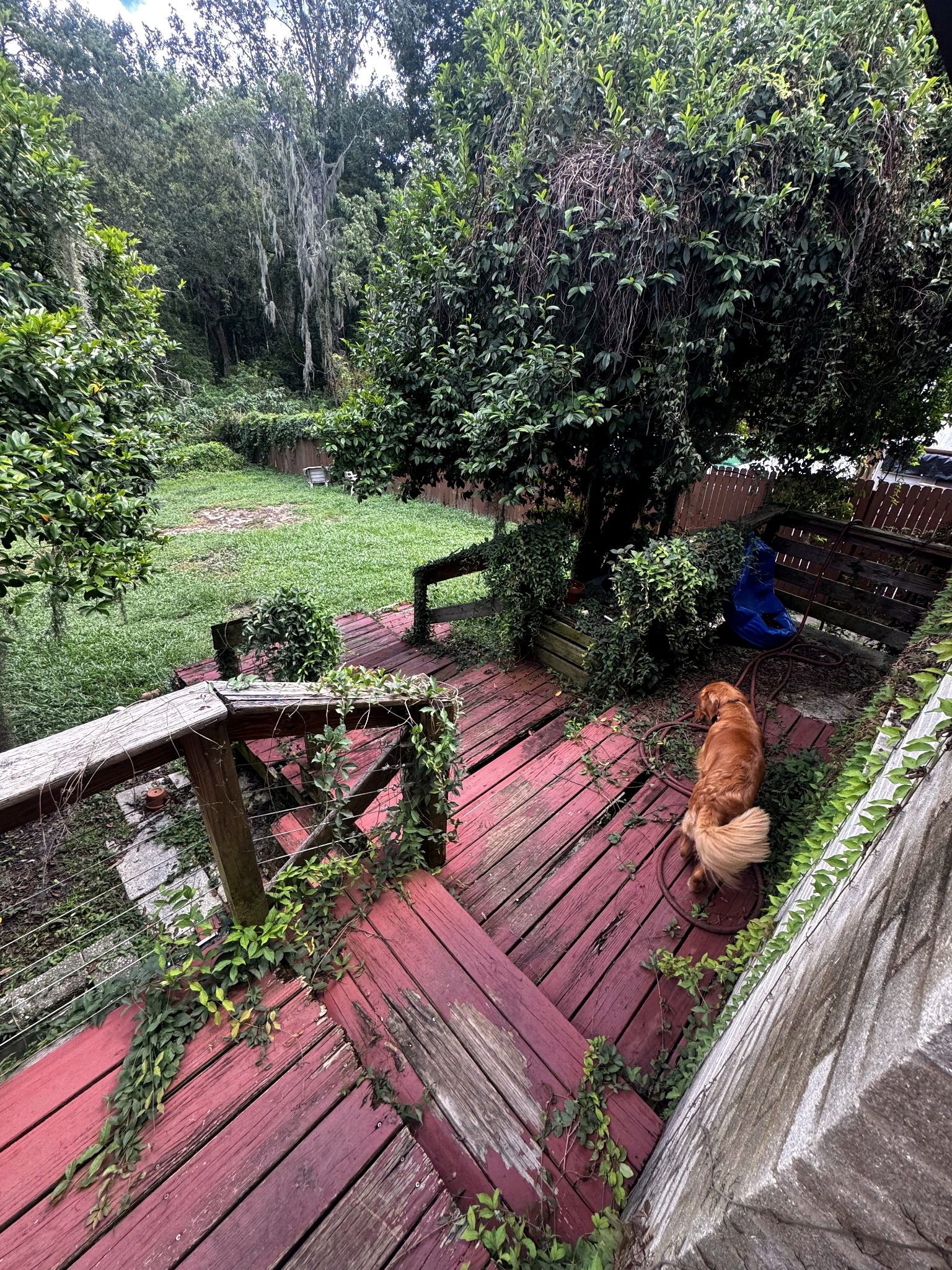 Limpieza de deck