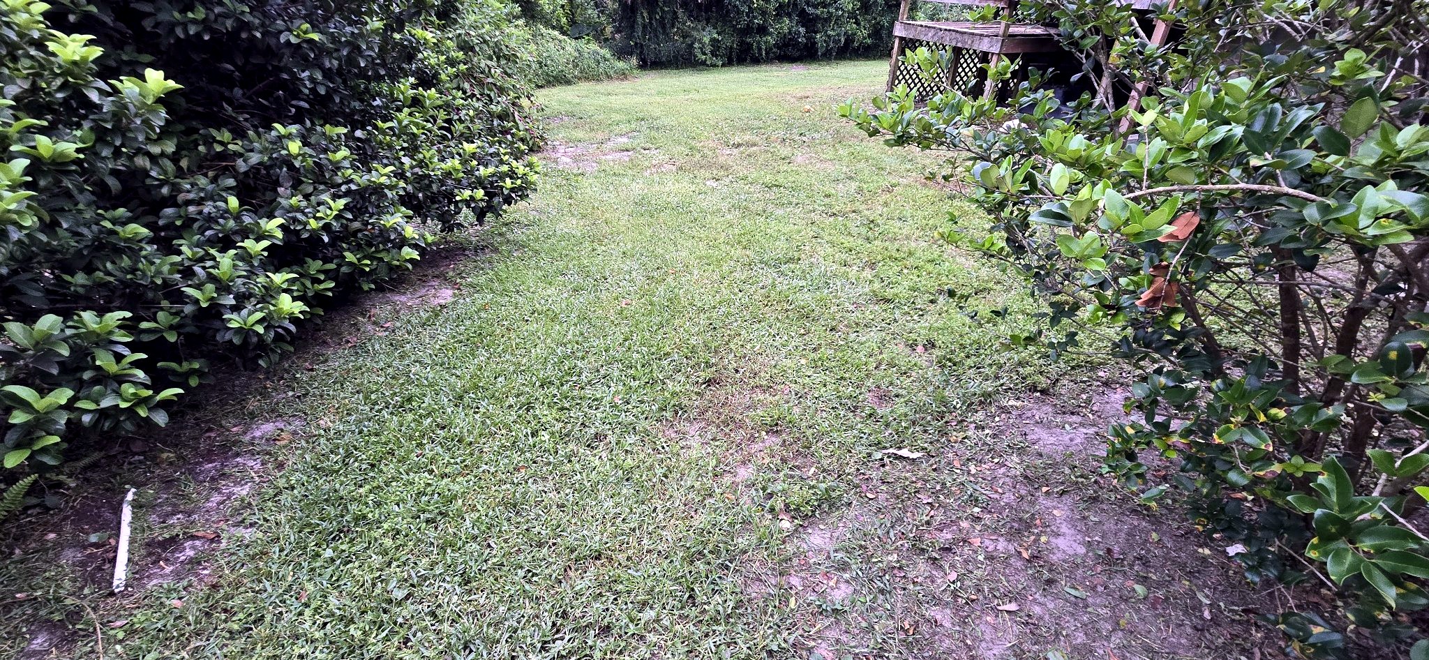 Sendero limpio