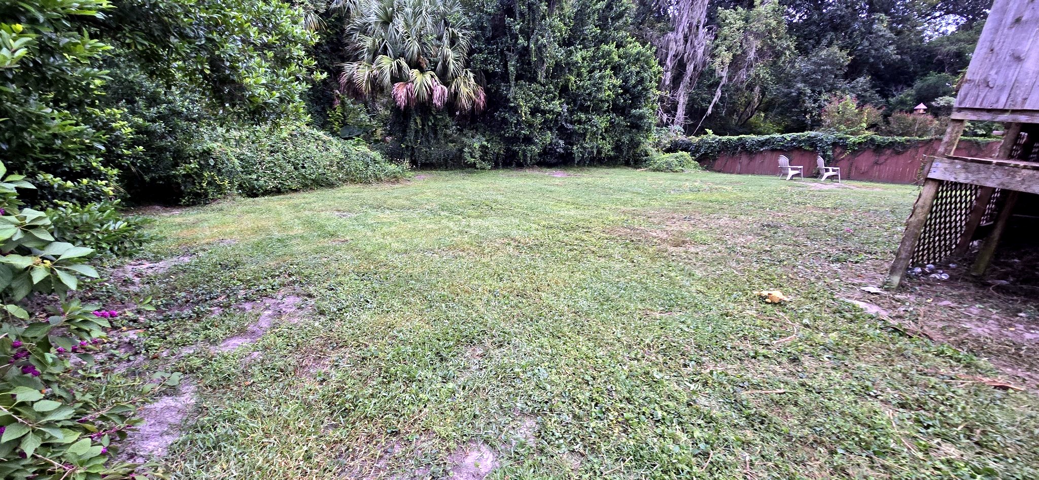 Patio limpio