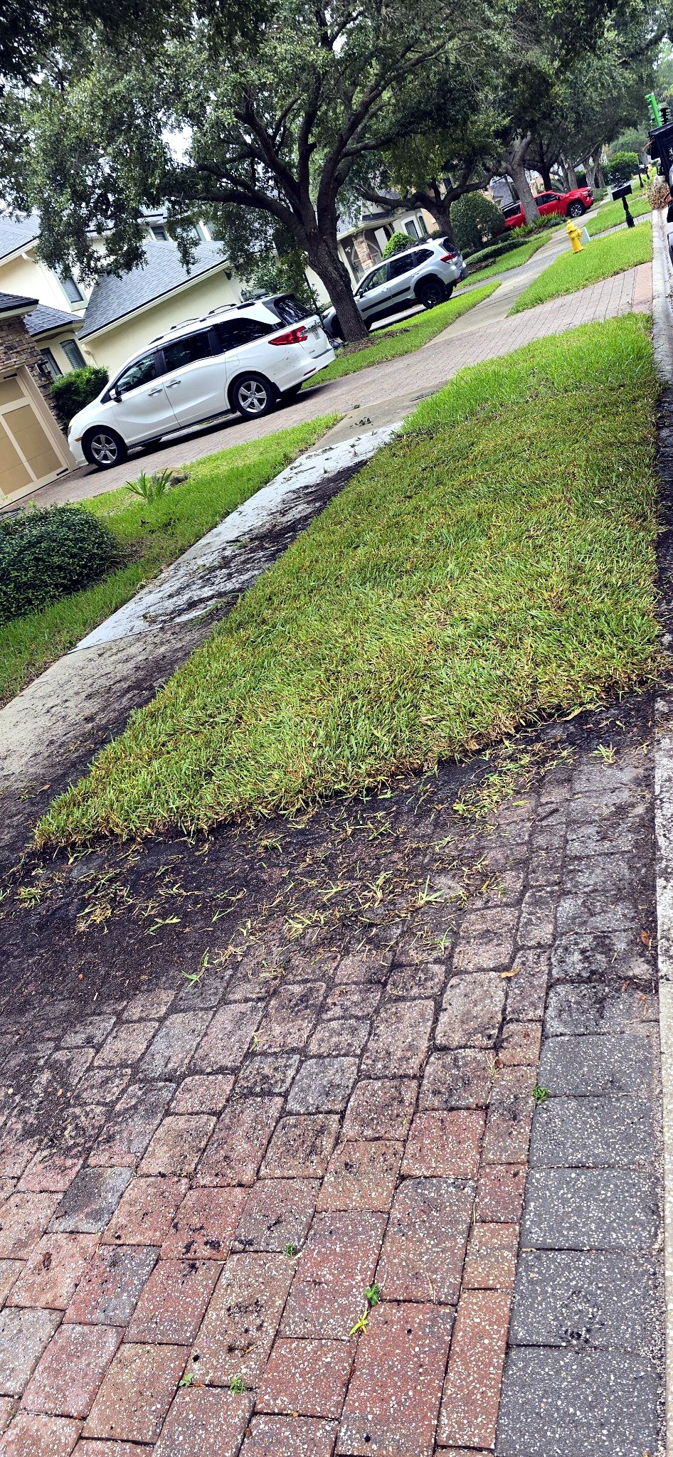 Instalación de césped
